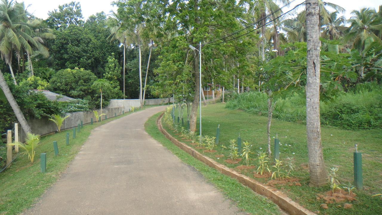 Ma Oya Retreat Pinnawala Pinnawala (Kegalle) Esterno foto