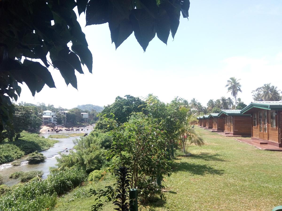 Ma Oya Retreat Pinnawala Pinnawala (Kegalle) Esterno foto