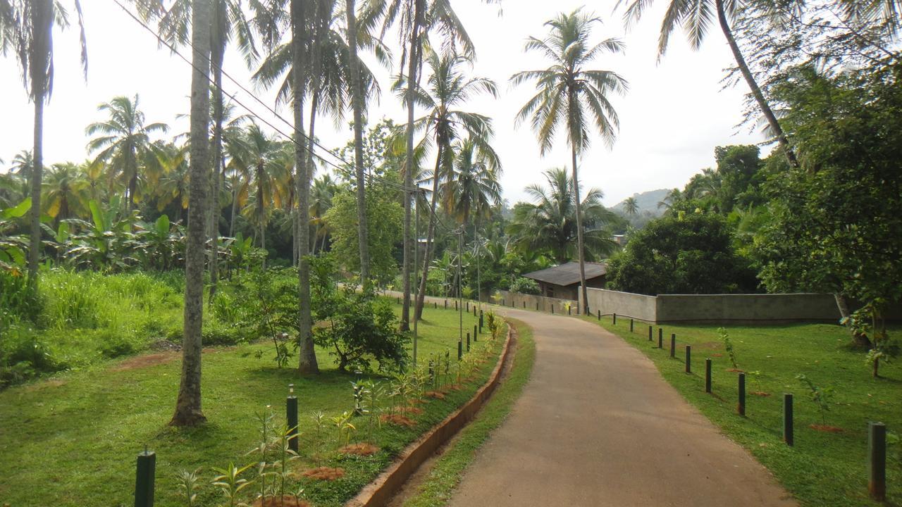 Ma Oya Retreat Pinnawala Pinnawala (Kegalle) Esterno foto