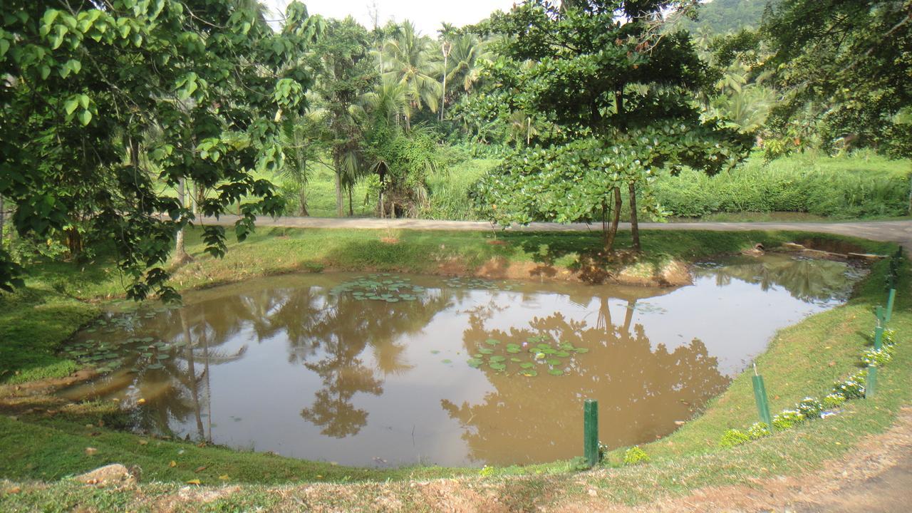 Ma Oya Retreat Pinnawala Pinnawala (Kegalle) Esterno foto